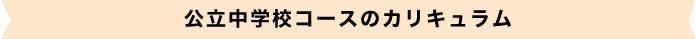 公立中学校コースのカリキュラム